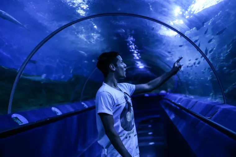 Musée océanographique, tunnel sous la mer pour les visiteurs