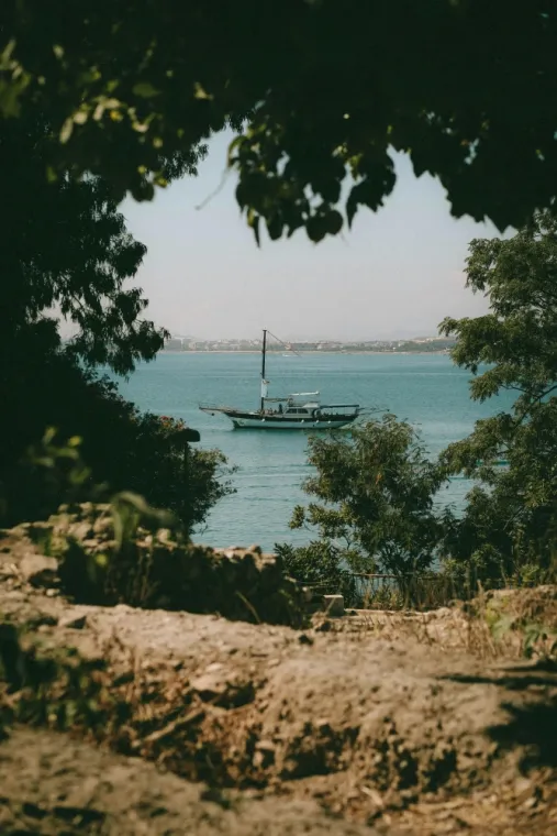 Vue sur un bateau naviguant à travers un feuillage