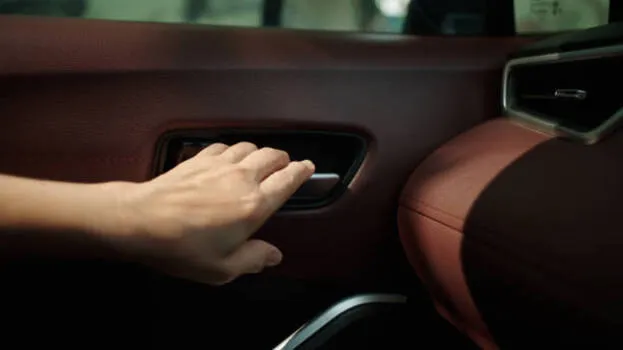 Chauffeur privé haut de gamme à Nice, Nice, Harmony Rides VTC