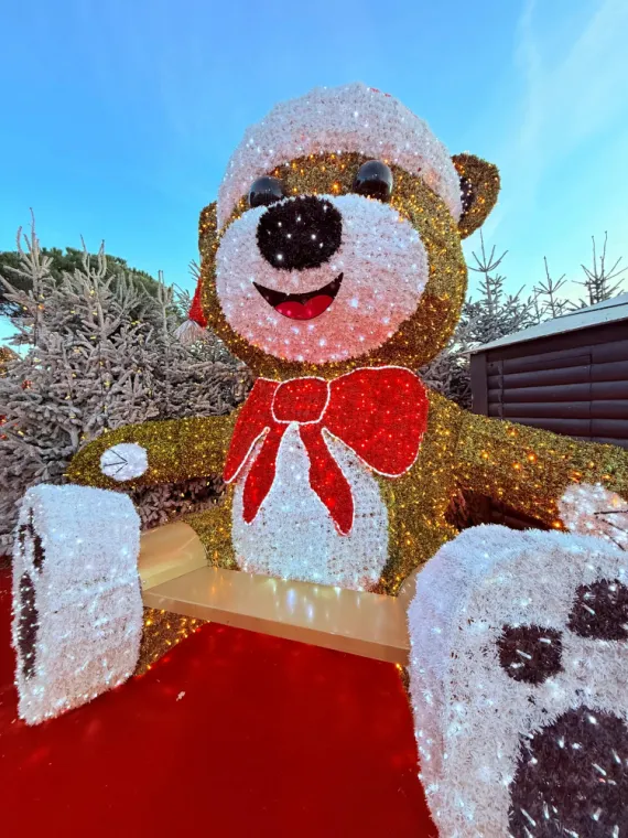 Marché de Noël de Nice: réservez votre VTC pour profiter de la magie des fêtes